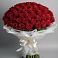 Букет 101 Красная роза Блэк Мэджик в Ливенке