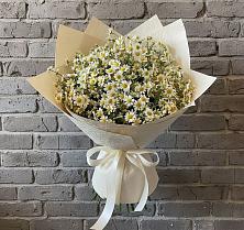 Букет цветов из:  Ромашки #REPLACE_PRED# Ливенке