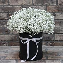 Цветочная композиция из Гипсофила в шляпной коробке в Ливенке