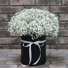 Цветочная композиция из Гипсофила в шляпной коробке в Ливенке